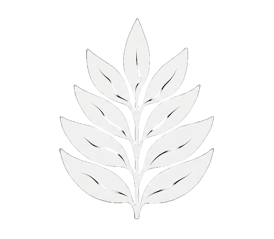 Give Protocol Foundation